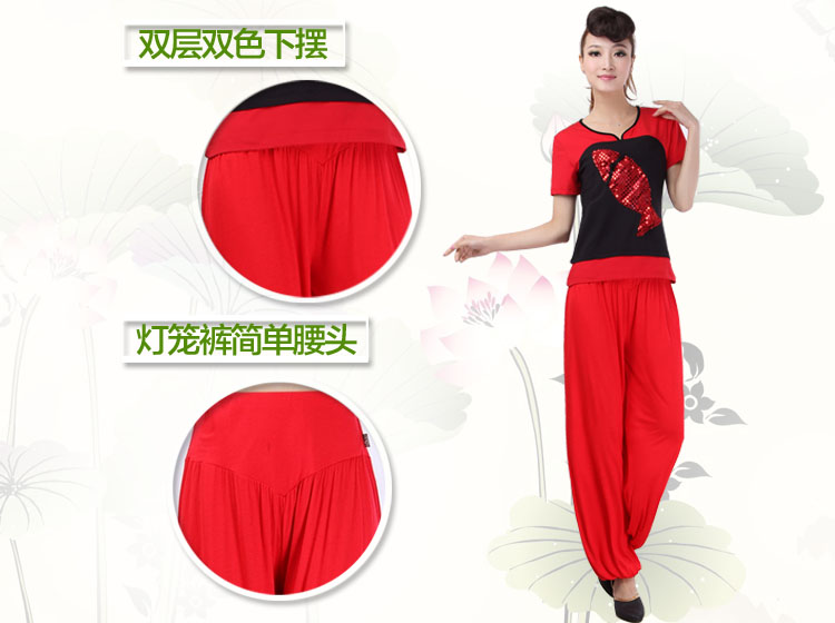 Michael thousand square dance costume national style dance suit high elastic middle-aged dance costume 2017 new