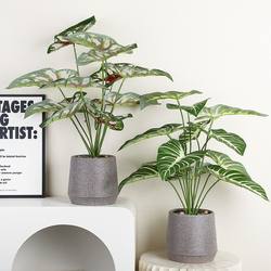 Simulated Plants, Nordic Decorations, Turtle Leaf Potted Plants, Living Room Desktop Indoor Bonsai Ornaments, Simulated Flowers and Green Plants