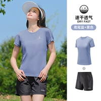 [Влагопоглощающие, дышащие, впитывающие пот и быстросохнущие] Ирис синий/черный, женский, J1XN001ZH8125