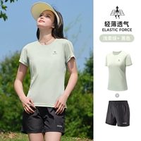 [Влагопоглощающие, дышащие, впитывающие пот и быстросохнущие] Светло-мягкий зеленый/черный, женский, J1XN001ZH8125