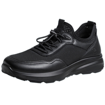 Camel outdoor shoes 2024 spring new style genuine leather light breathable mesh cowhide casual shoes business sports leather shoes