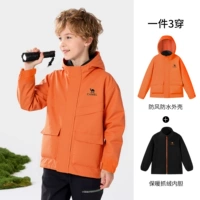 Окисленный оранжевый, D64CAS0623A5