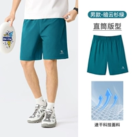 Темно-зеленый, самец, M13BZ00102