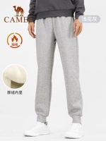 Y13CY05015, светло-серый, «папа»