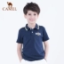 Quần áo trẻ em lạc đà 2019 xuân hè mới trẻ em ve áo ngắn tay áo thun bé trai thủy triều thương hiệu áo thun bé gái - Áo polo thể thao Áo polo thể thao
