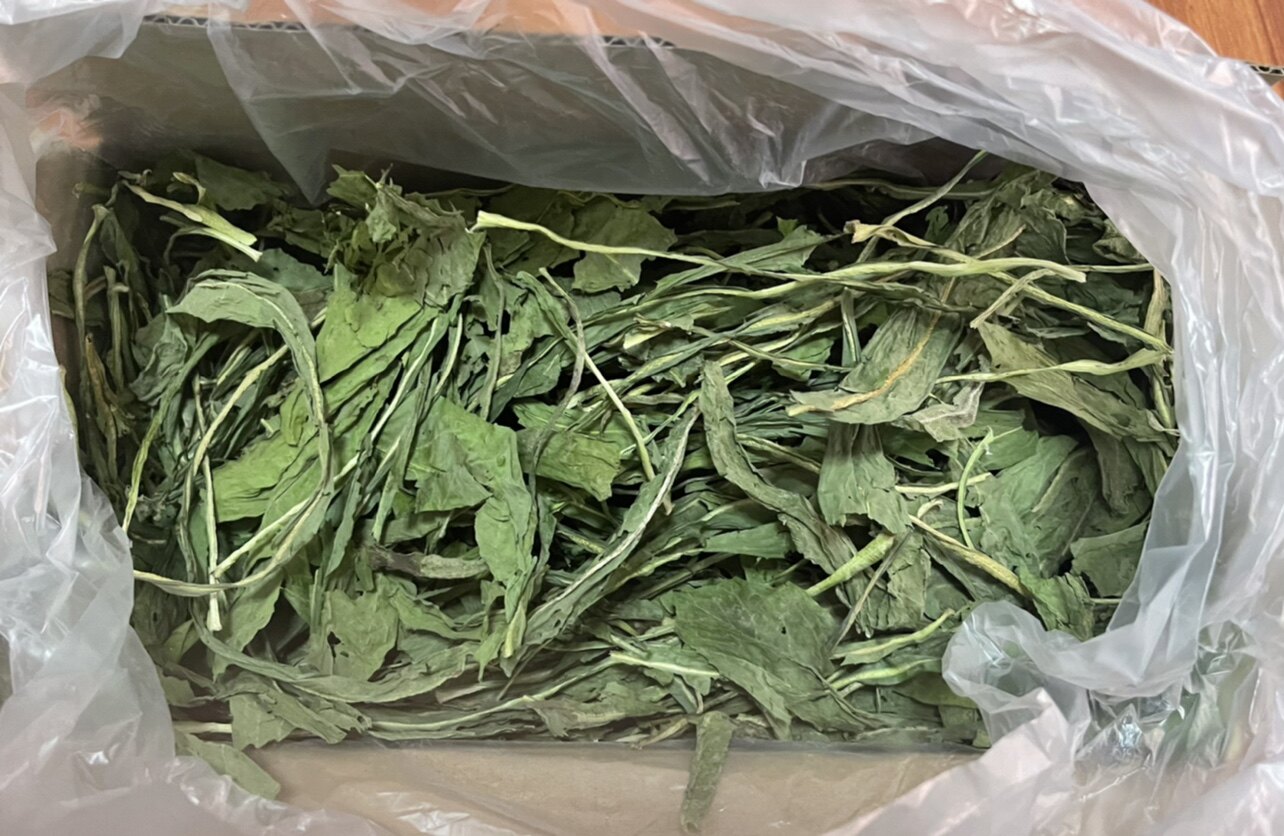 Ball Balls Jam 2022 New grass drying boutique Chicory Dragon Cat Rabbit Guinea Pig Dolphin Clear Fire Anti-inflammatory Supplements Nutrient Net Weight 500g