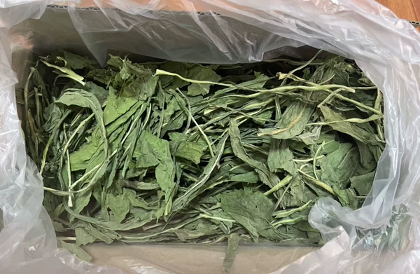 Товары от wjy_slq