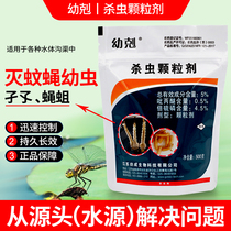 Young G 5% pesticidal granules pyriproxyfen kill mosquito larvae hydroponic plants insecticide destroy larvae maggots long-term