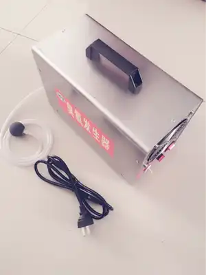 10g ozone generator (water treatment) large 10g ozone sterilizer