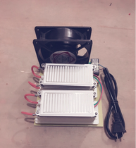 40g integrated ozone generator (220v)