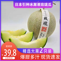 Japan Shizuoka Mei Roseong Melon 2 New Years Eve Reticulated Melon Hammegua Fresh Pregnant Woman Fruit Honeydew Melon Spot