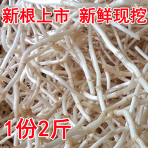 Three Gorges specialty now dig Houttuynia fresh wild side ear root fold ear root cold salad Houttuynia tea 2 pounds