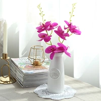 Пакет Deep Purple Phalaenopsis