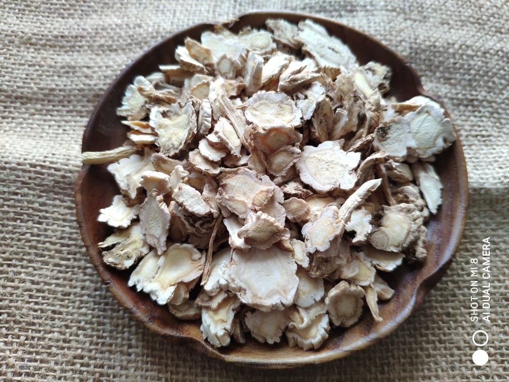 Fire Shentang Chinese herbal medicine Herbal Medicine Balloon Flower without sulphur Guangdong-balloonflower Electer 500 gr
