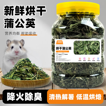 Hamster Dandelion Grass Clears Heat, Relieves Summer Heat, Reduces Internal Heat, Golden Hamster, Chinchilla, Small Hamster Snacks, Herbal Feed, Drying Supplies