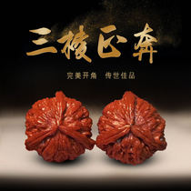 Collectible boutique three-sided Zhengben shaped wild text play walnut stuffy white lion head Apple garden four-building official hat