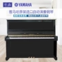 Đàn piano Yamaha tự động nguyên bản Nhật Bản SX101RBL / MX100MR / HQ300SX / YM11SXGZ - dương cầm piano điện