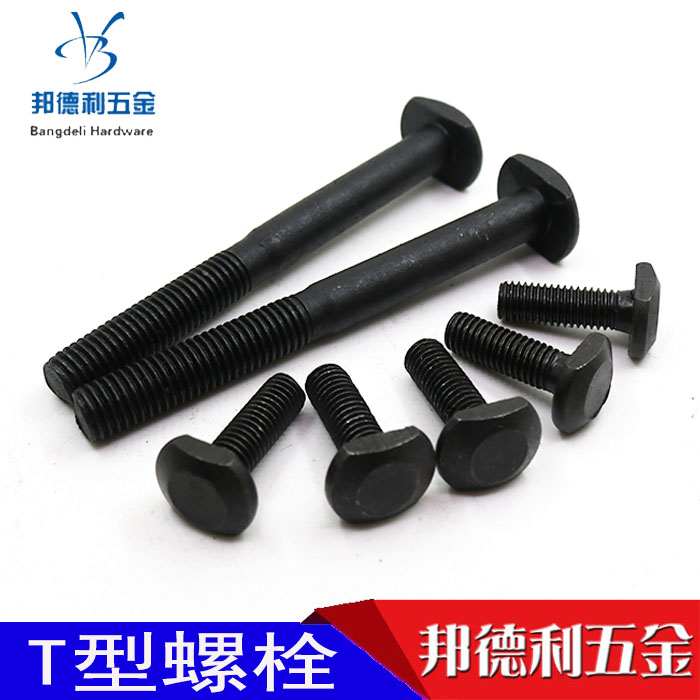 T - type screw T - shaped bolt T - slot screw screw plate screw M8 10 12 14 16 18 20