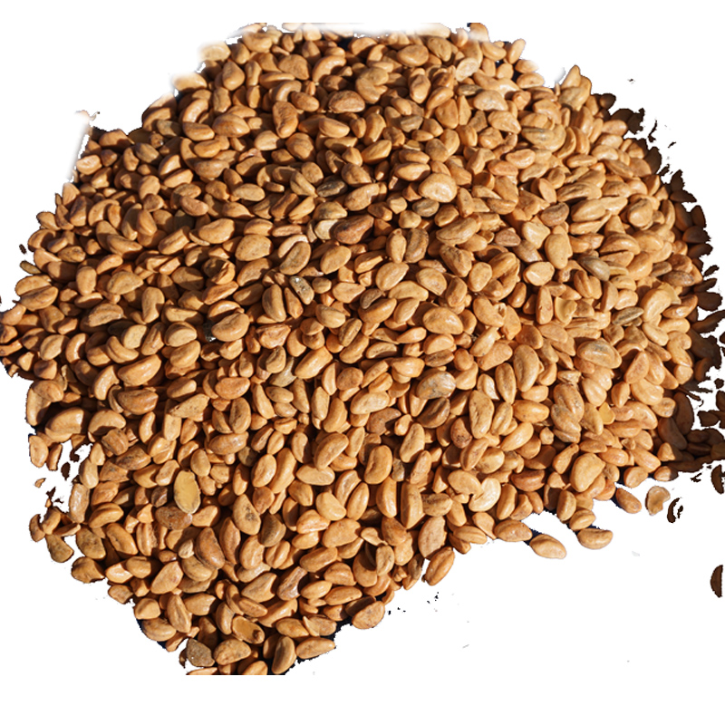 Miễn phí vận chuyển 10 pound táo gai nước tiểu hạt buck của gối cổ tử cung gối sức khỏe trụ gối đầy kẹo - Gối gối chữ u cho bầu