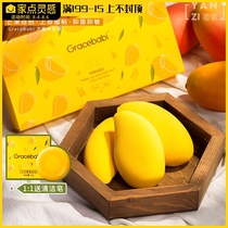 Free cleaning soap#Gracebabi little Mango beauty egg set Super soft sponge puff do not eat powder Wet and dry tools