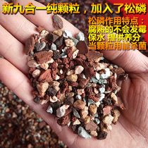Fleshy special soil plant nutrient soil orchid soil peat planting soil leaf insert soil nine-in-one pure granular soil bag