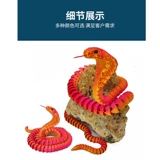 Китайский динозавр, подвижная игрушка, радужный комплект, 3D, птерозавр