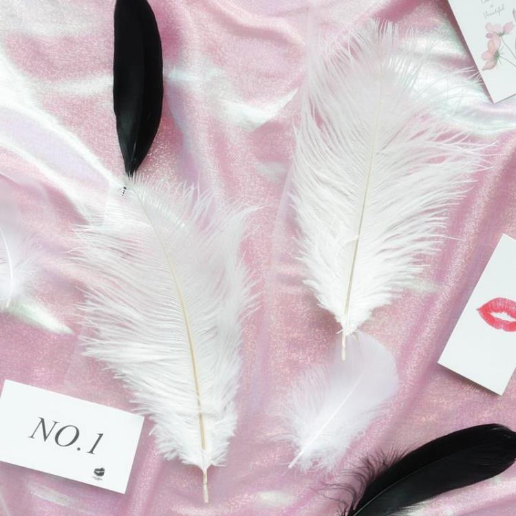 ins white ostrich feathers natural feathers online shop shooting props cosmetic jewelry photo background cloth decoration