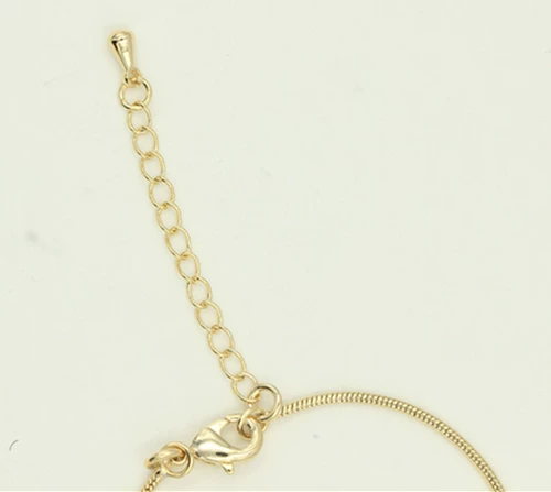 Специальное покрытие для медного насыщенного золота восьмиугольное ожерелье для костей с расширенной цепью, чтобы защитить цветовые вакуумные висящие аксессуары для ювелирных аксессуаров.