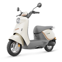 Luyuan 60V20A lead-acid long-range electric motorcycle MODA3 mens and womens high-speed long-distance running battery car