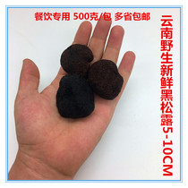 Yunnan Ice Fresh Black Truffle Pig Arch Fungus Wild Fungus Block 3-8 cm Vacuum Packaging 500 gr 