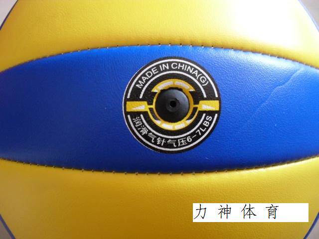 Ballon de volley-ball - Ref 2012838 Image 5