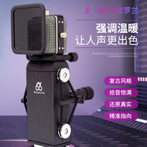babybottle SL-4-Violet Large Diaphragm Live Recording Microphone 66 Amethyst Professional Microphone