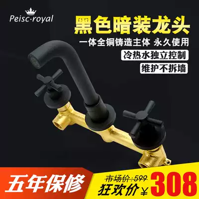 Hotel household bathroom powder room Black wall-mounted concealed hot and cold water faucet washbasin washbasin outlet nozzle