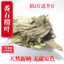 Freshly Dried Guava Leaf Tea 500g Wild Dried Red Heart Guava Leaves Guava Dried Fruit slices Tea dried goods