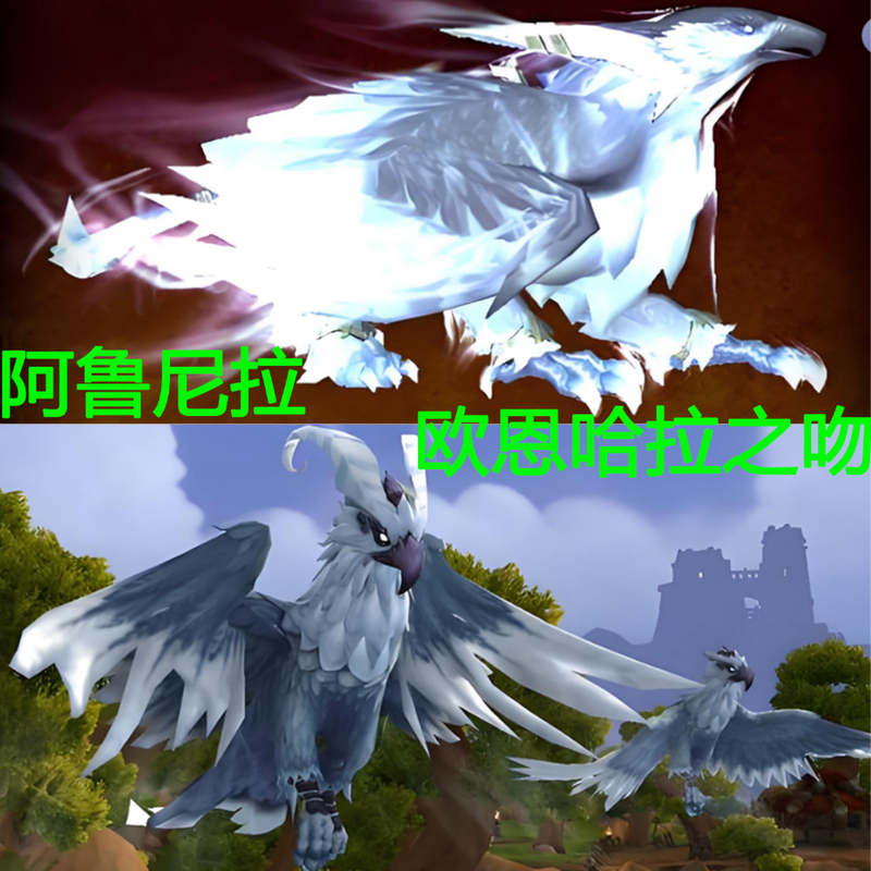 World of Warcraft Boosting Services: Orenhala's Sacred Kiss/Arunila's Explosive Fragments/Island Adventure Mounts World of Warcraft Boosting Services: Orenhala's Sacred Kiss/Arunila's Explosive Fragments/Island Adventure Mounts