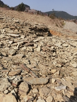 Special link to the difference price is invalid