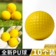 10 PU Ball