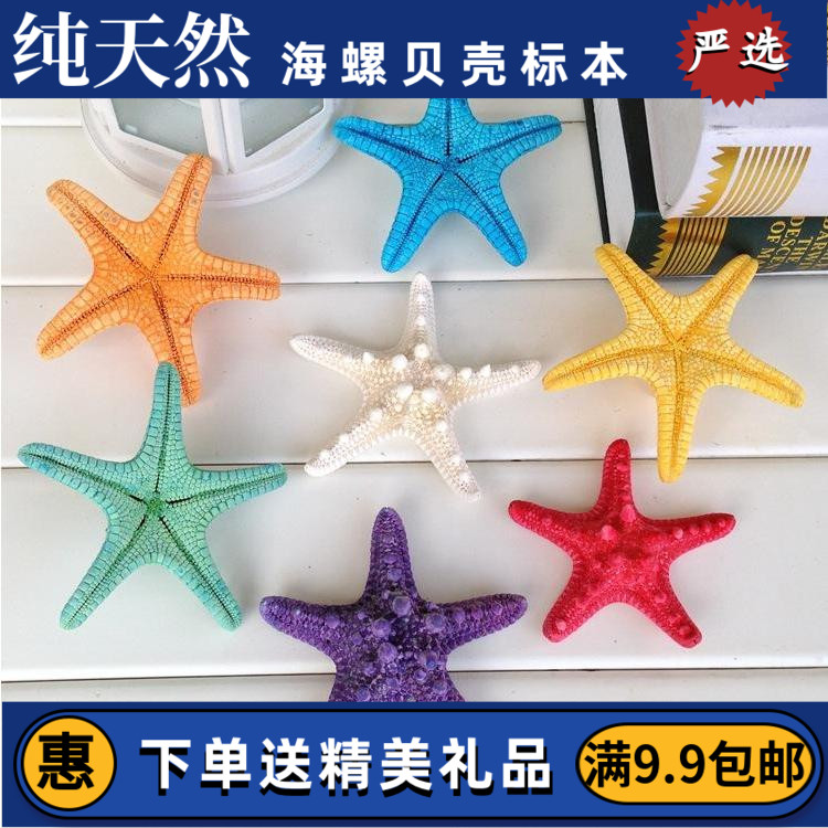 True Starfish Baxian Bread Platform Mediterranean Decorative Starfish Conch Shell Decoration