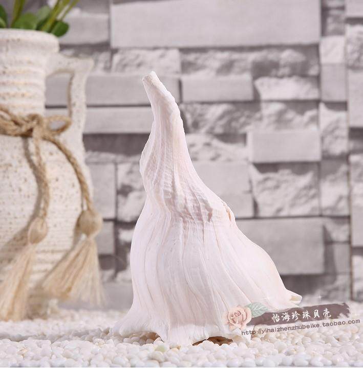 Levospirin Guanyin's natural shell sea snail for the rare natural collection of the Buddha's rare natural collection-Taobao