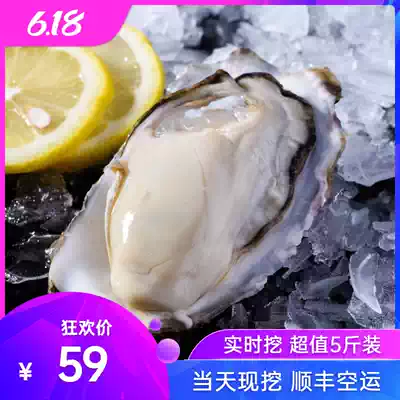 Extra large oyster Fujian sea oyster fresh 5kg barbecue garlic ready-to-eat frozen seafood aquatic products raw oyster meat Oyster Oyster