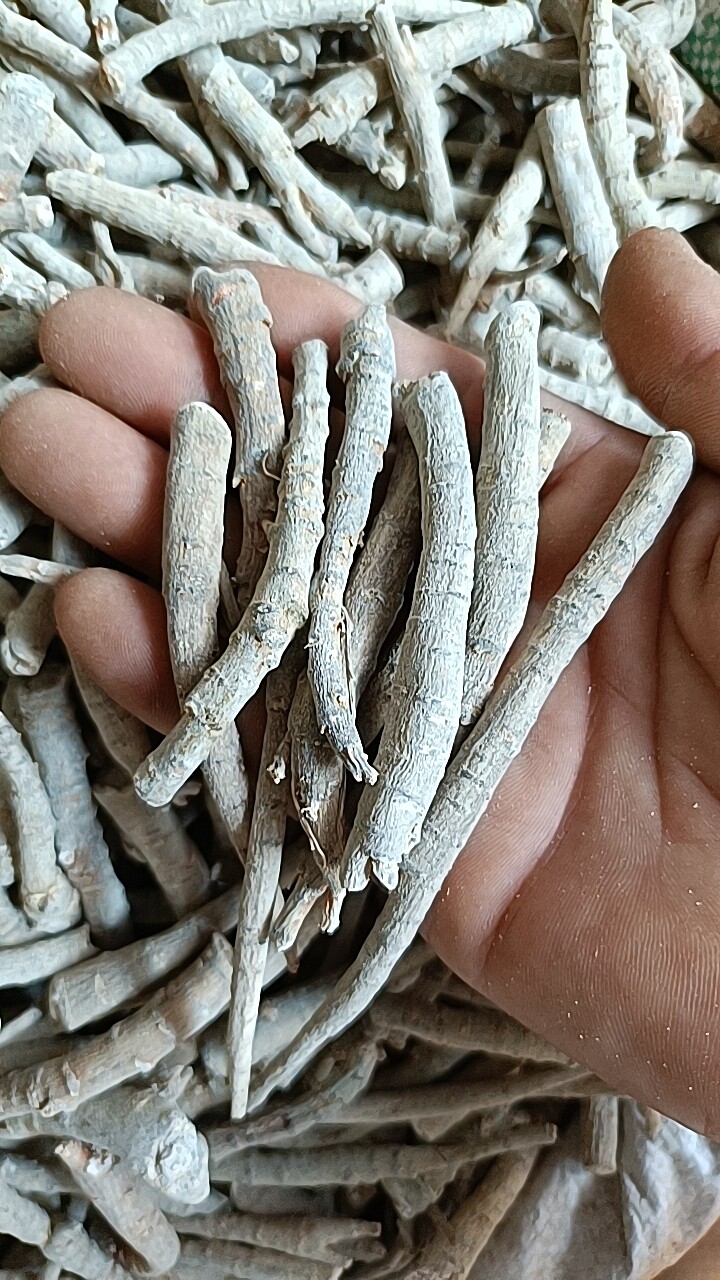 如何选择优质文山三七根?-三七-淘宝百科网