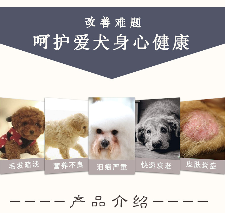 Tự làm thịt thông rong biển thức ăn cho chó, vận chuyển 5 kg, cỡ nhỏ cỡ trung bình cỡ lớn hạt vàng Teddy Husky - Chó Staples đồ ăn cho chó con