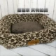 Tổ yến vuông kennel thú cưng tổ mùa thu mèo mùa đông mèo nhỏ chó mèo Teddy giường sofa nhà cần thiết hàng ngày - Cat / Dog hàng ngày Neccessities 	bộ bát ăn cho mèo	