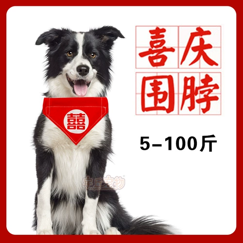 Собака привет во рту водяной полотенце биббра большая собака свадебная декоративная края