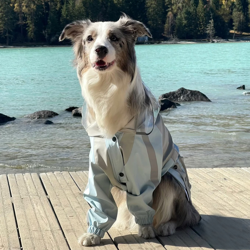 Meteorite Border Collie Special Dog Clothes Jacket Autumn and Winter Windproof Raincoat Warm Large Dog Golden Retriever