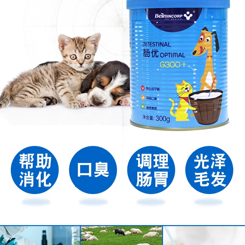 Bye Intestines Pet Dog Probiotic Điều hòa Teddy Teddy Tiêu chảy Táo bón Giúp sản phẩm tiêu hóa 	sữa cho mèo con uống