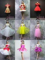 Red gold Chinese modern dance petal dance short dance skirt opening dance classical ballet dance dance skirt Beijing physical store for rent