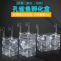 Guppies breeding box acrylic incubator box delivery room incubator small fish separator breeding box fish tank isolation box