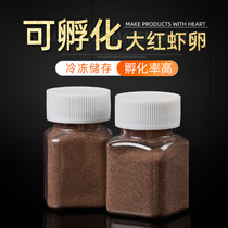 Hatchable rich shrimp red egg larvae frozen adult Frozen live seedlings guppy fish feed fish feed