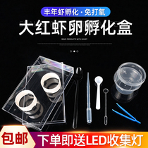 Fengman Shrimp Egg Incubator Automatic Bottle Cap Feeding Homemade Professional Fine Egg Artemia Incubator Shallow Plate Hatch